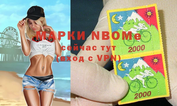 стаф Заводоуковск