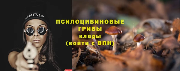 стаф Заводоуковск