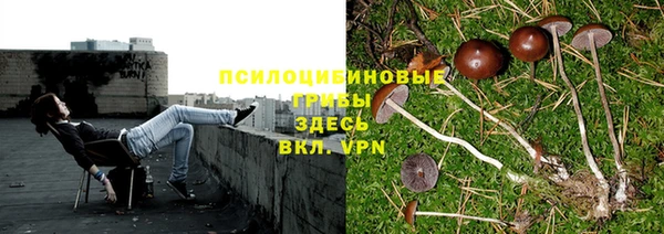ALPHA PVP Заволжск