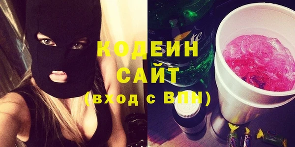 стаф Заводоуковск