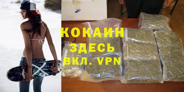 стаф Заводоуковск