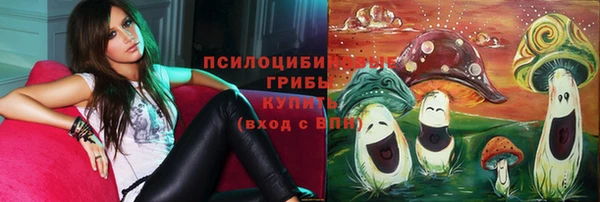 стаф Заводоуковск