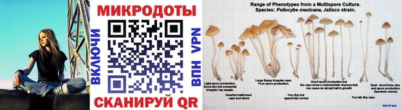 Псилоцибиновые грибы GOLDEN TEACHER  где можно купить   Карталы 