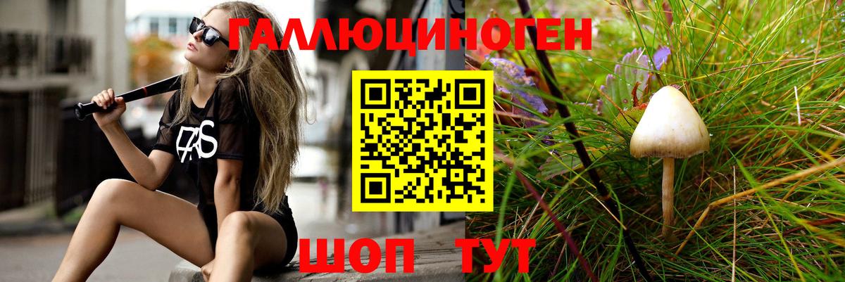 Галлюциногенные грибы Psilocybe Карталы