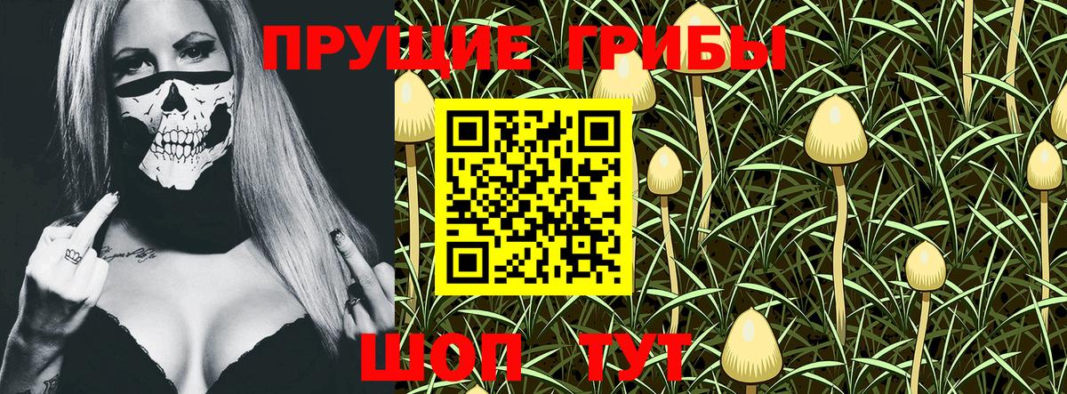 Псилоцибиновые грибы Magic Shrooms  Вход с VPN  Карталы 